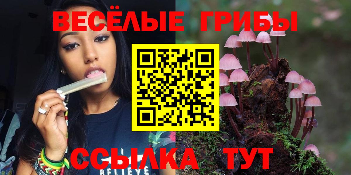 Вязники  сколько стоит  Вход с VPN  Псилоцибиновые грибы Magic Shrooms 